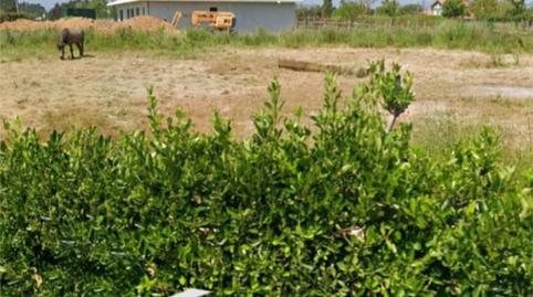 Urbanitzable en venda a Lugar el Campón, 20, El Carbayedo - El Quirinal, Asturias - imatge 3 Foto 3 de Urbanitzable en venda a Lugar el Campón, 20, El Carbayedo - El Quirinal, Asturias