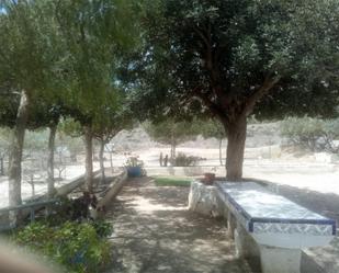 Jardí de Casa o xalet en venda en Orihuela amb Terrassa