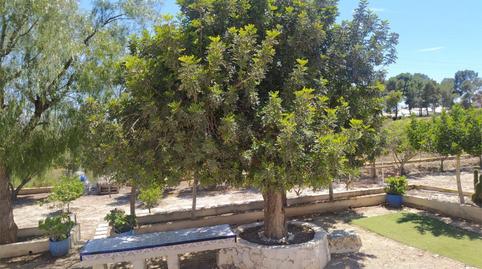 Pis en venda a Calle Francisco Tormo de Haro, 24, Orihuela ciudad, Alicante - imatge 3 Foto 3 de Pis en venda a Calle Francisco Tormo de Haro, 24, Orihuela ciudad, Alicante