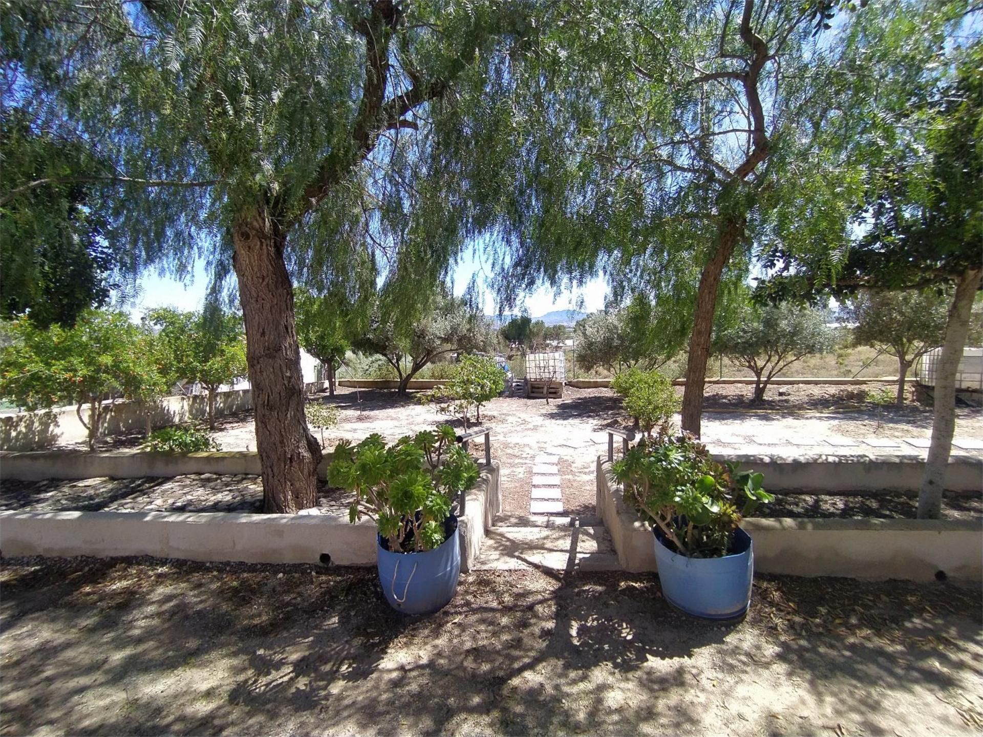 Jardí de Casa adosada en venda en Orihuela amb Calefacció, Jardí privat i Terrassa