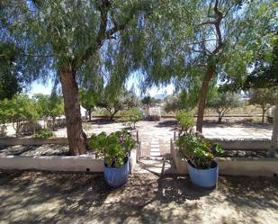 Garden of Single-family semi-detached for sale in Orihuela  with Heating, Private garden and Terrace