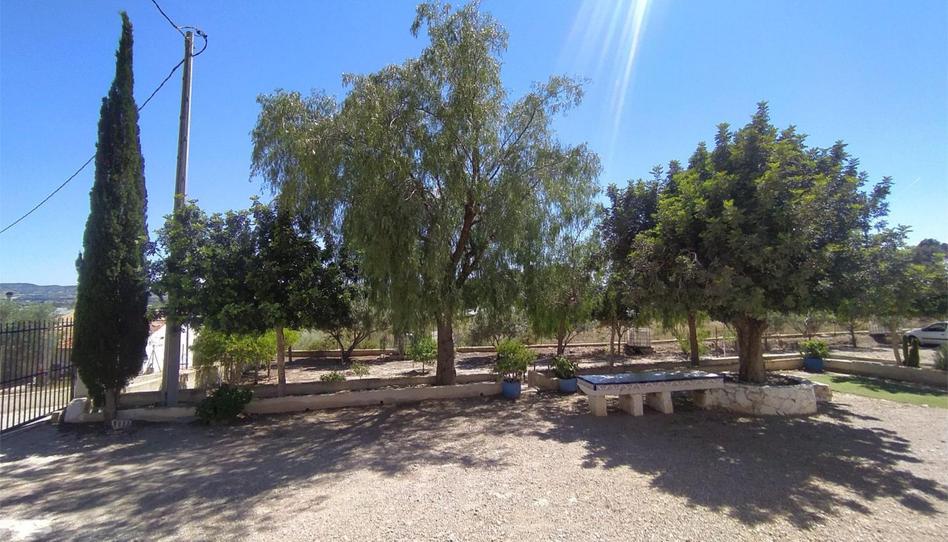 Pis en venda a Calle Francisco Tormo de Haro, 24, Orihuela ciudad, Alicante - imatge 1 Foto 1 de Pis en venda a Calle Francisco Tormo de Haro, 24, Orihuela ciudad, Alicante