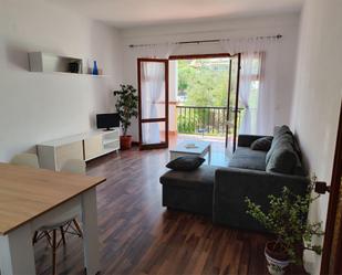 Living room of Flat to rent in Málaga Capital  with Terrace, Swimming Pool and Balcony