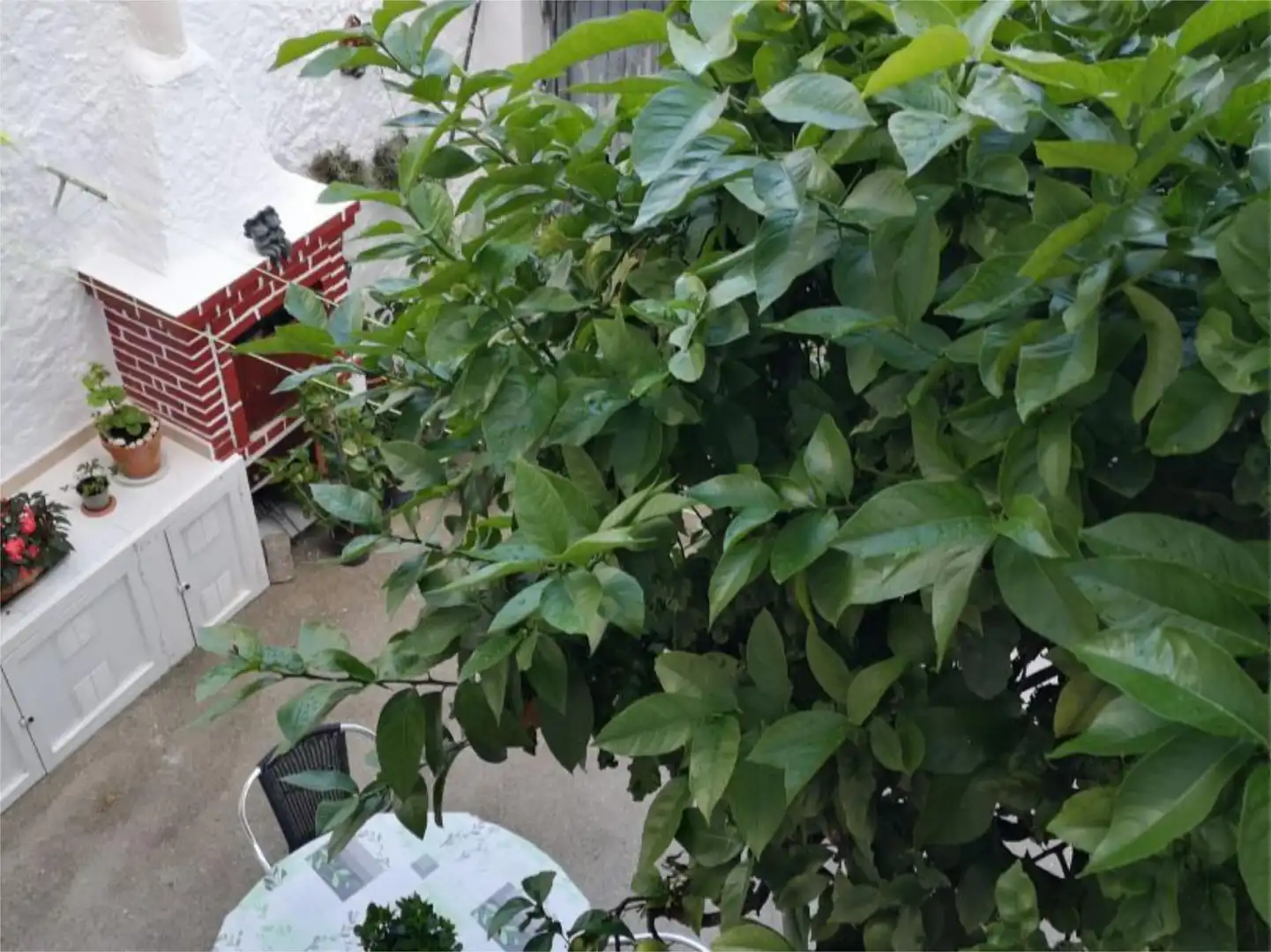 Jardí de Casa o xalet en venda en Ares amb Balcó