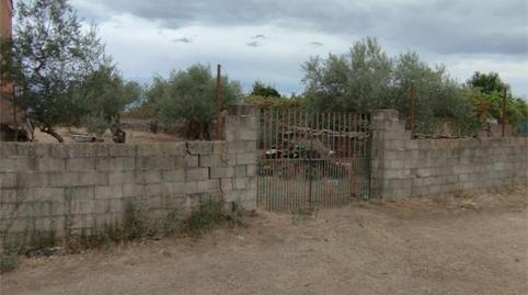 Constructible Land for sale in Calle Antonio Gala, 9, Montehermoso, Cáceres - image 4 Photo 4 of Constructible Land for sale in Calle Antonio Gala, 9, Montehermoso, Cáceres