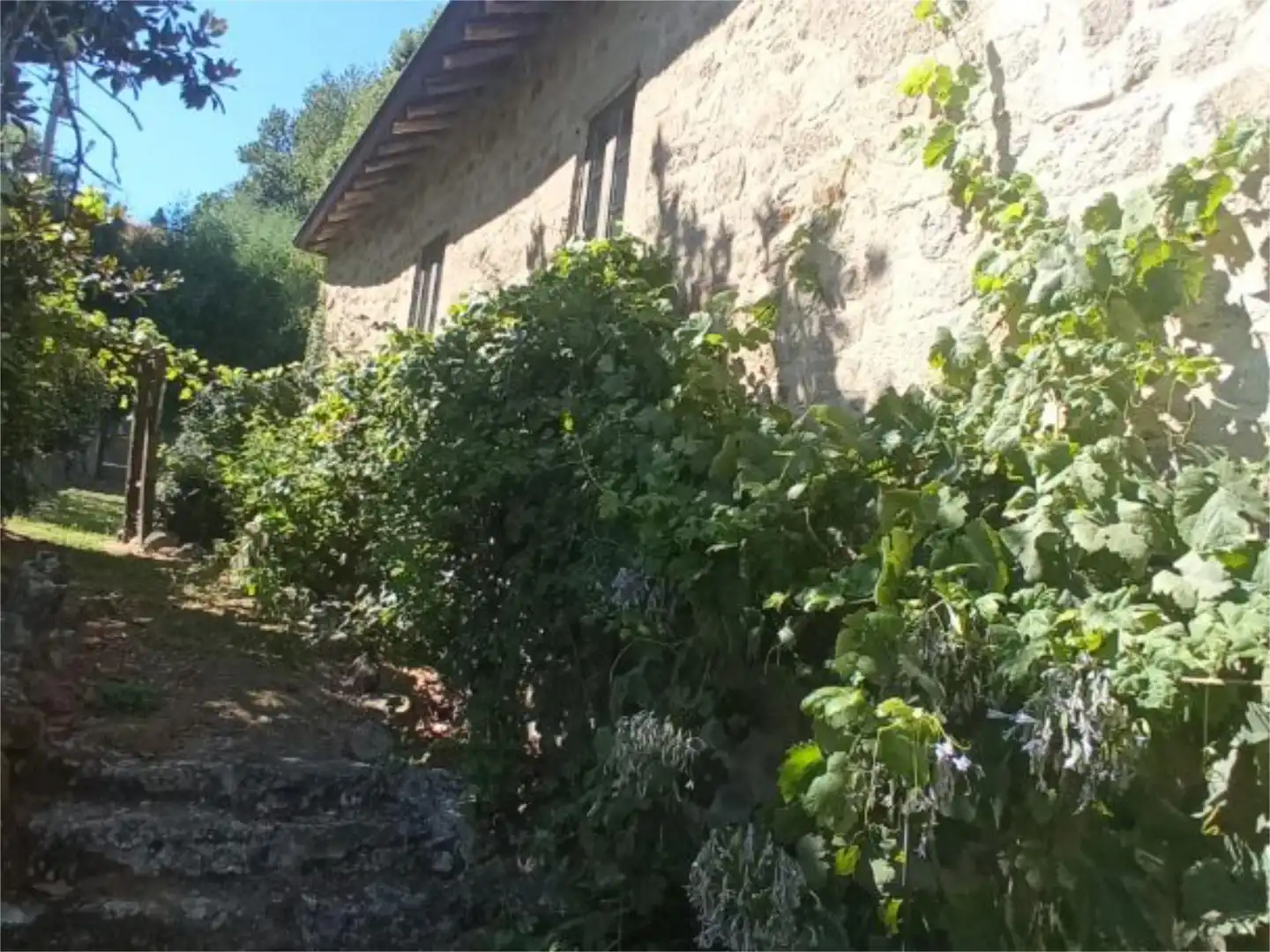 Jardí de Finca rústica en venda en Pantón amb Calefacció, Jardí privat i Terrassa