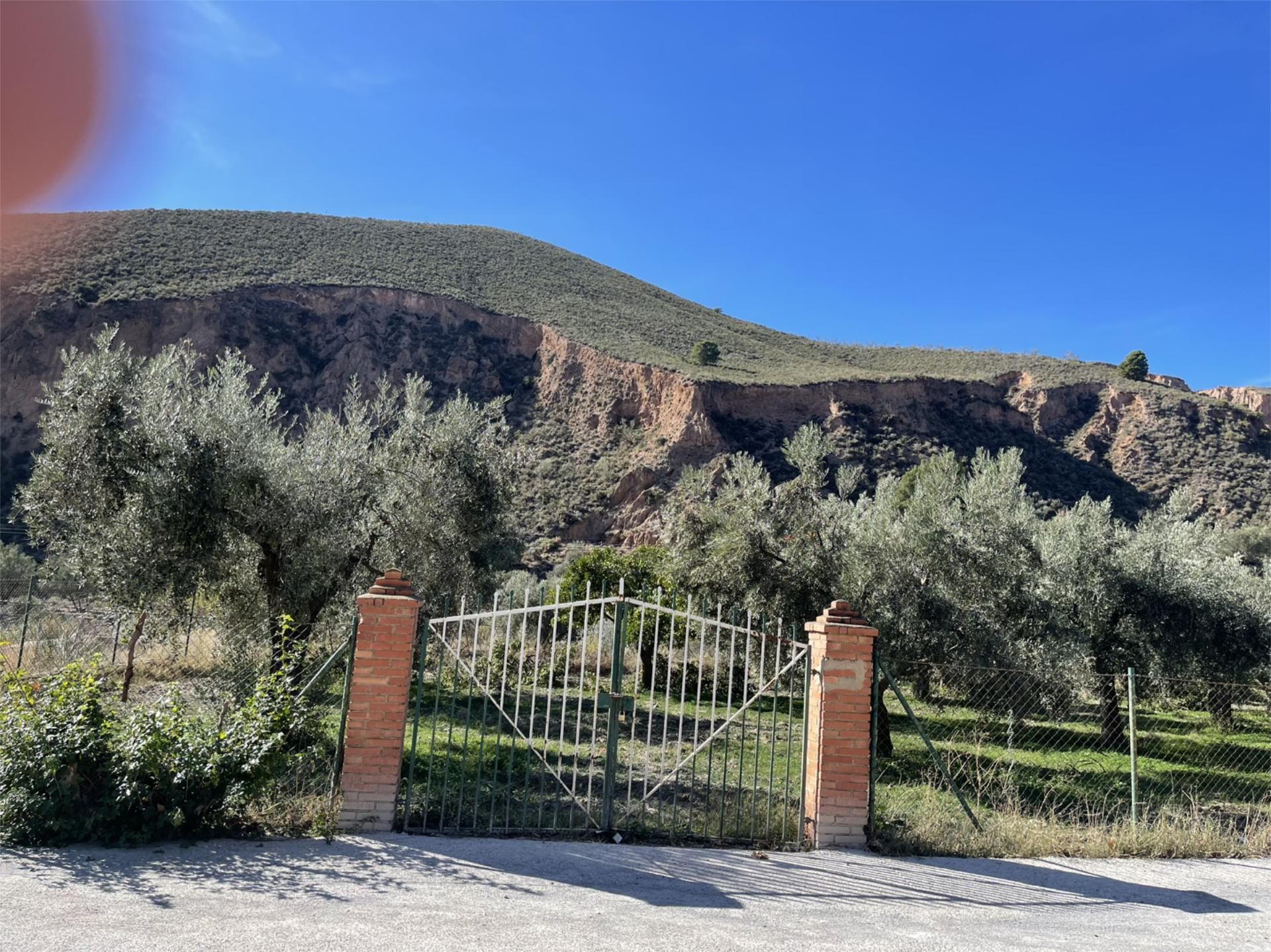 Garden of Non-constructible Land for sale in Ugíjar
