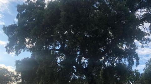 Foto 4 de Finca rústica en venda a Ronda del Sol, 23, Valdesalor - Rincón de Ballesteros, Cáceres Capital