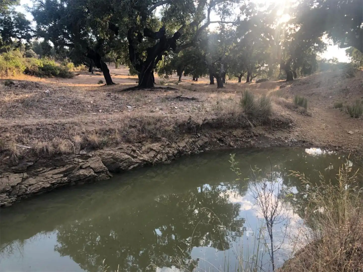 Pis en venda a Ronda del Sol, 23, Valdesalor - Rincón de Ballesteros Pis en venda en Cáceres