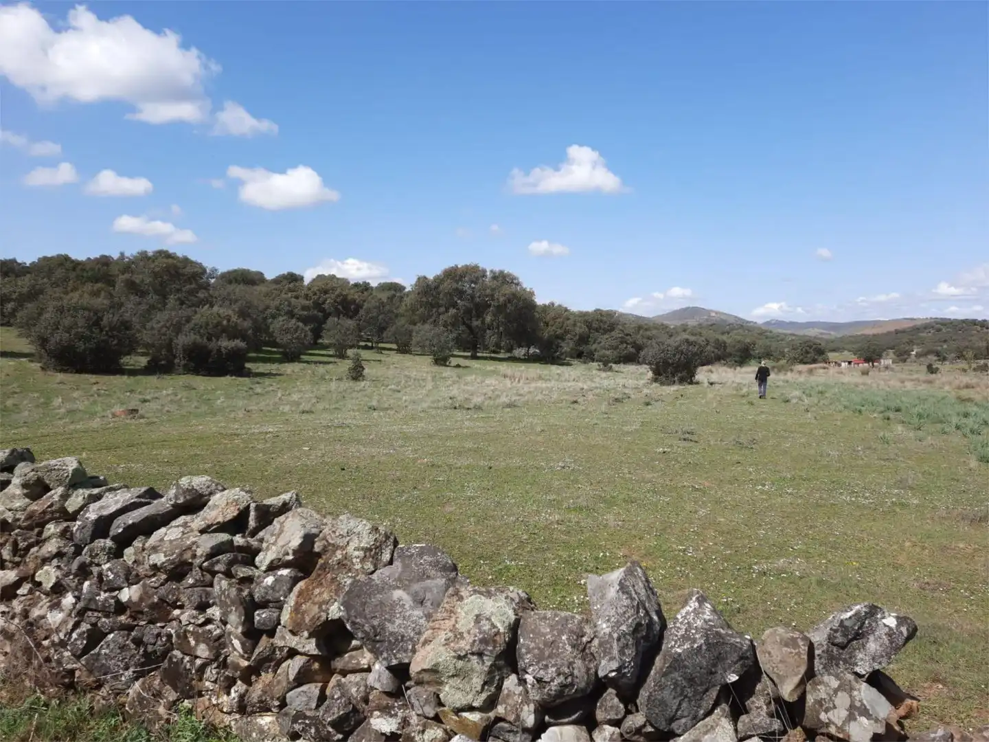Pis en venda a Ronda del Sol, 23, Valdesalor - Rincón de Ballesteros Pis en venda en Cáceres