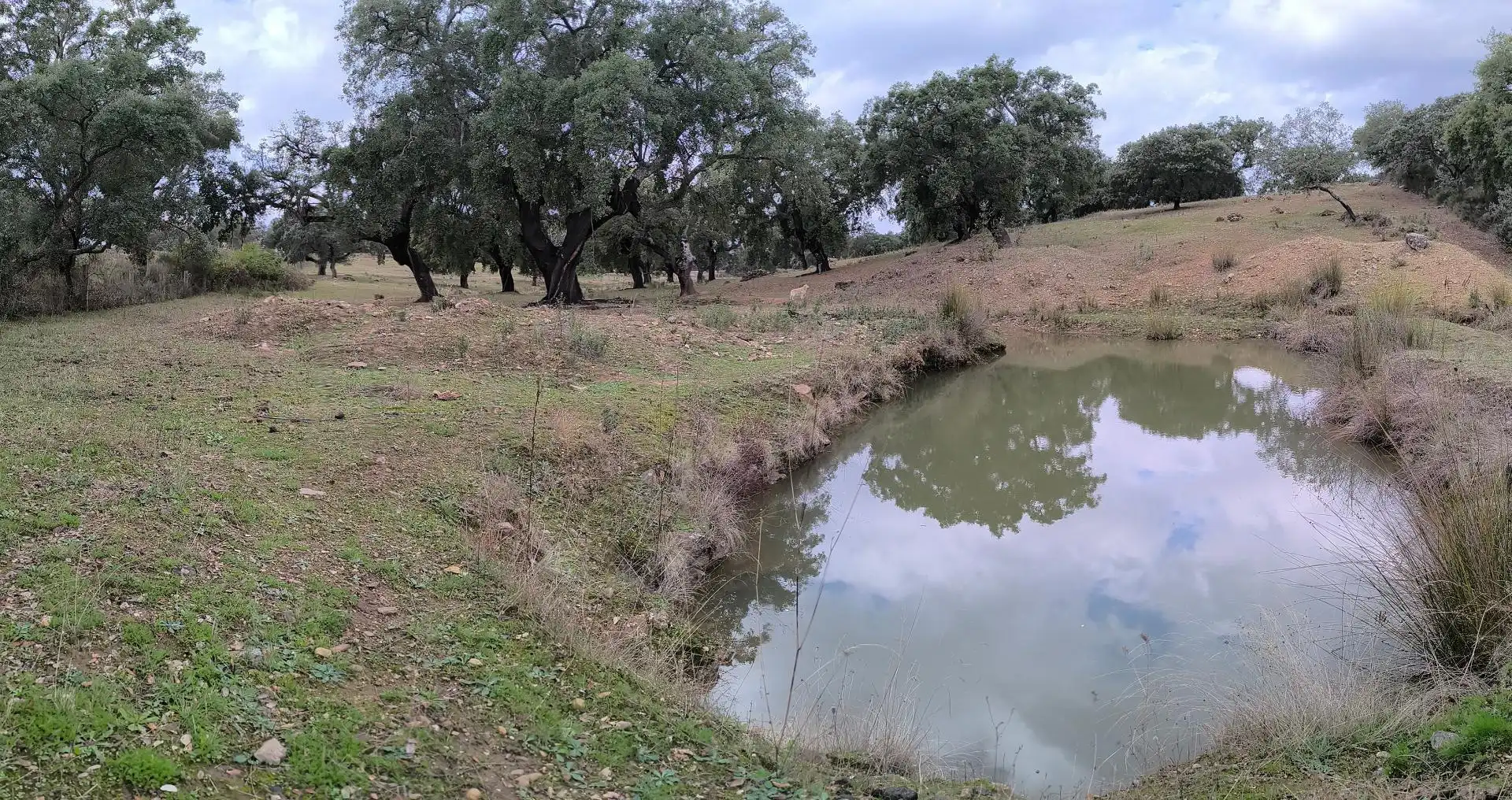 Pis en venda a Ronda del Sol, 23, Valdesalor - Rincón de Ballesteros Pis en venda en Cáceres