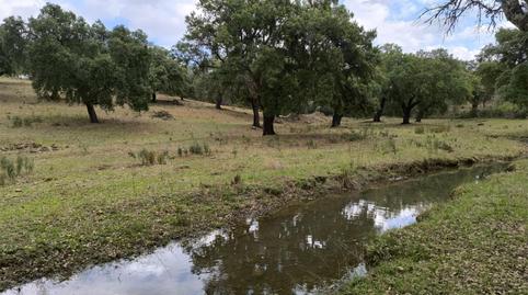 Foto 2 de Finca rústica en venda a Ronda del Sol, 23, Valdesalor - Rincón de Ballesteros, Cáceres Capital