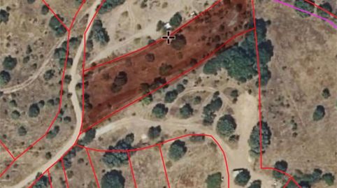 Terreno en venta en Carretera Castillo Bayuela, 12, San Román de los Montes, Toledo - imagen 3 Foto 3 de Terreno en venta en Carretera Castillo Bayuela, 12, San Román de los Montes, Toledo