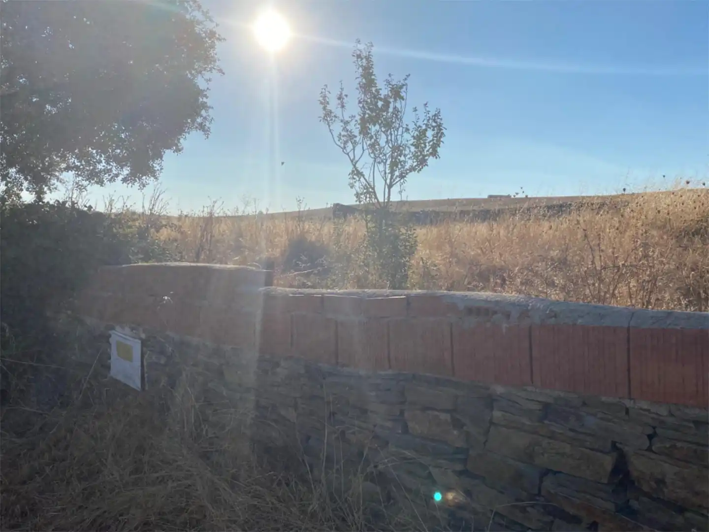 Land for sale in Montejo