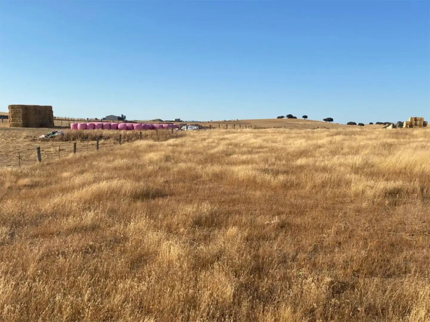Land for sale in Montejo