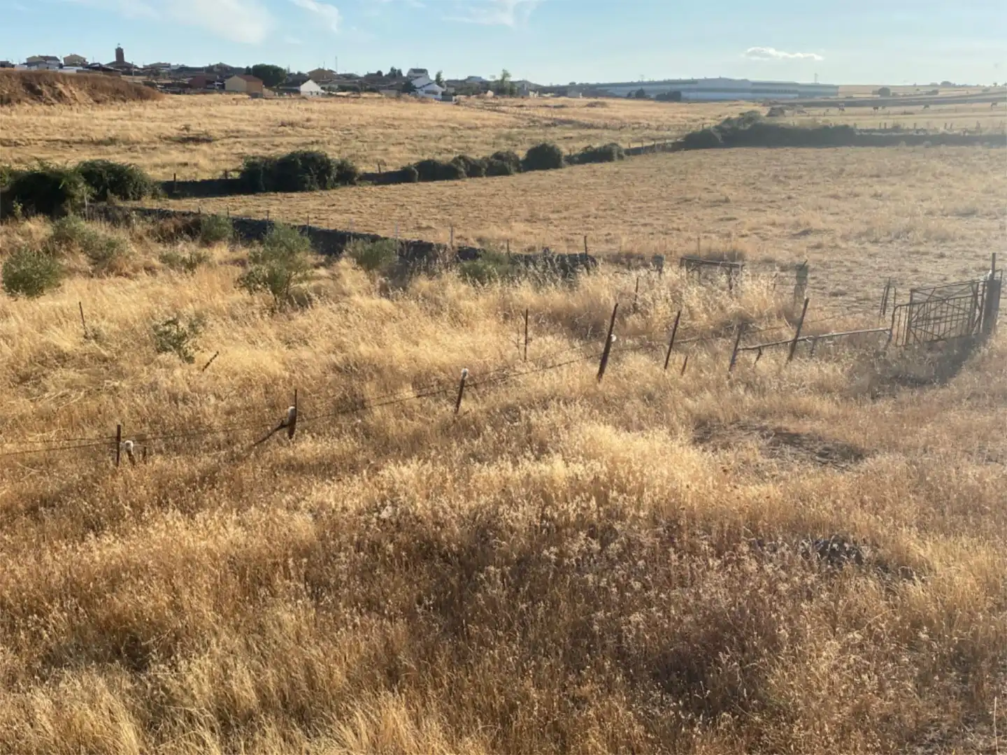 Land for sale in Montejo