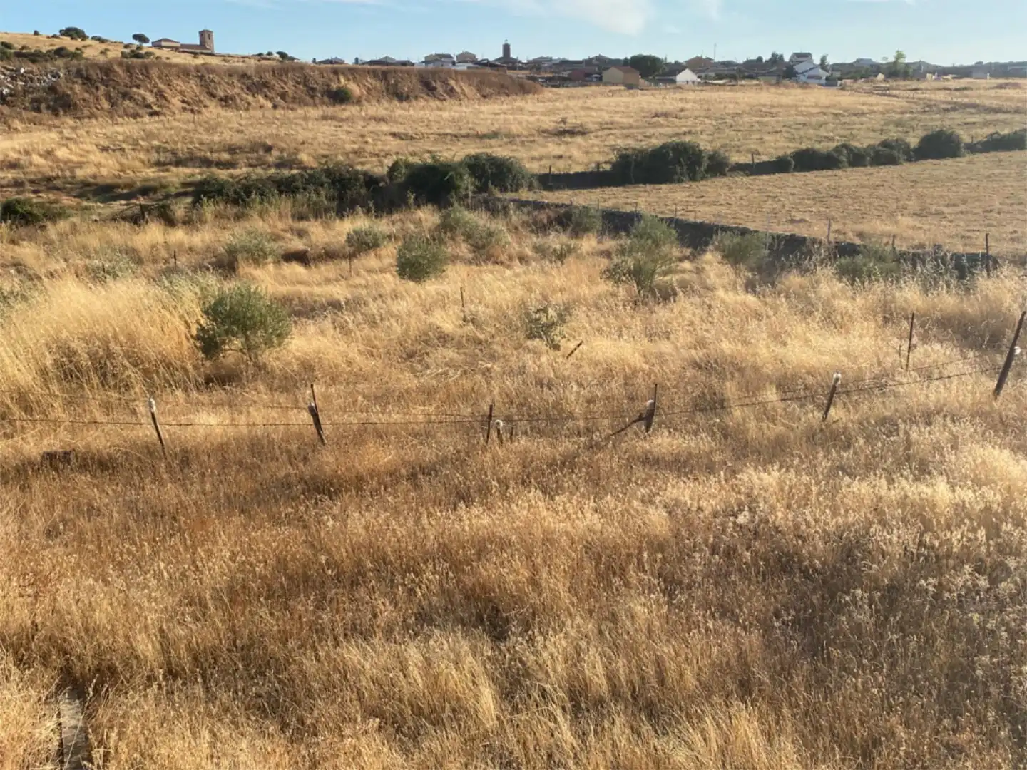 Land for sale in Montejo