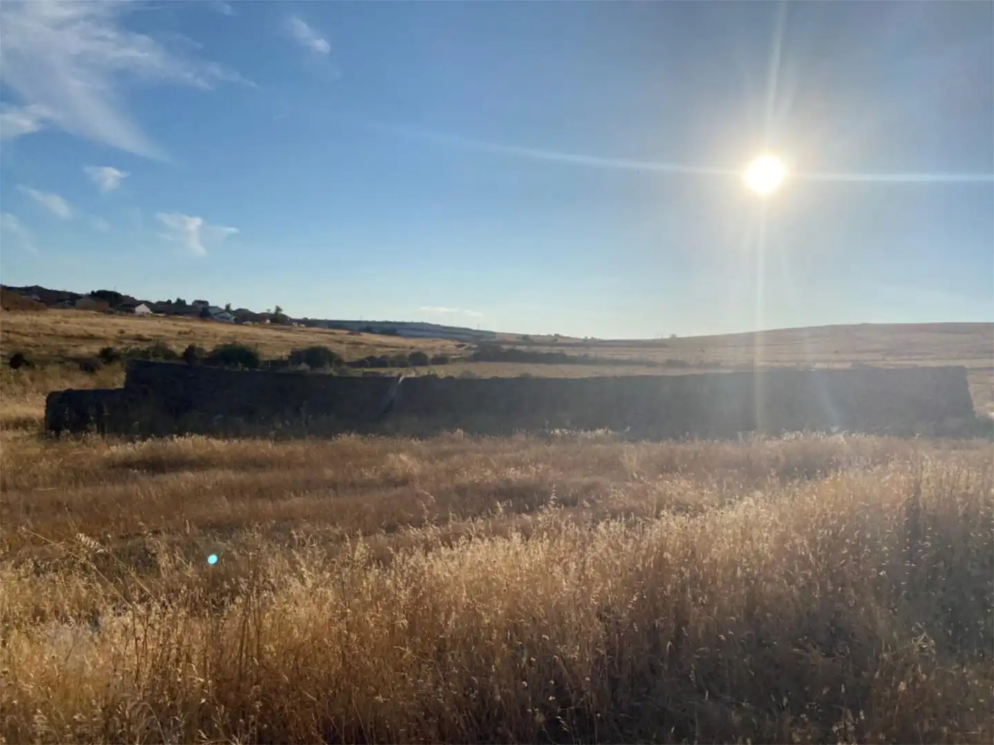 Land for sale in Montejo