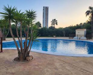 Swimming pool of Flat for sale in Benidorm  with Air Conditioner, Terrace and Swimming Pool