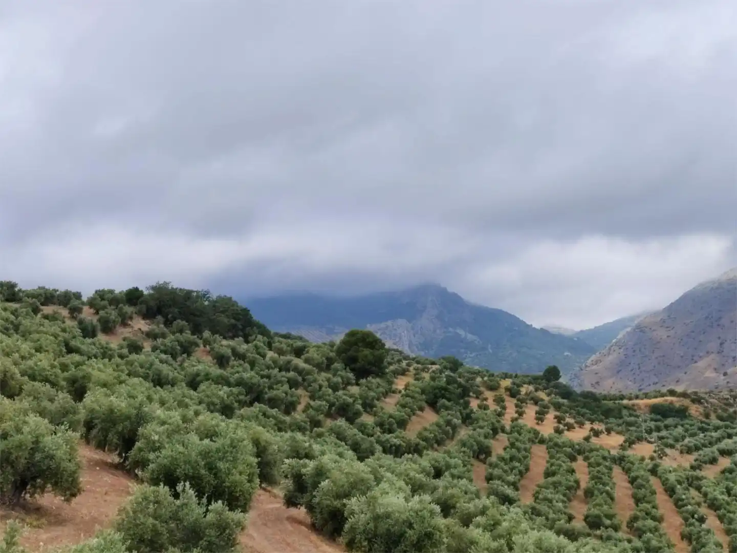 Terreno en venta en Carretera de Otíñar, 29, Alcantarilla - La Glorieta Vista exterior de Terreno en venta en Jaén
