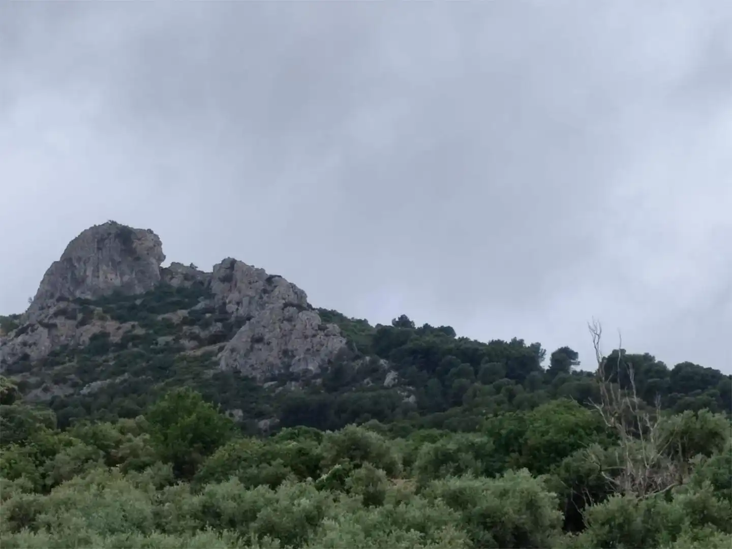 Terreno en venta en Carretera de Otíñar, 29, Alcantarilla - La Glorieta Terreno en venta en Jaén