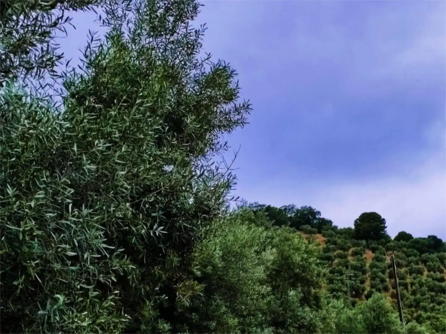Terreno en venta en Carretera de Otíñar, 29, Alcantarilla - La Glorieta Vista exterior de Terreno en venta en Jaén