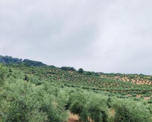 Terreny en venda en  Jaén Capital