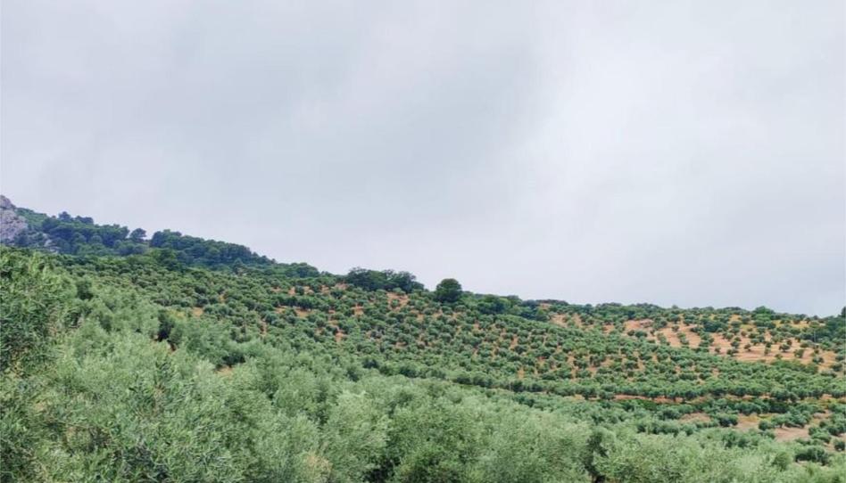 Photo 1 of Land for sale in Carretera de Otíñar, 29, Alcantarilla - La Glorieta, Jaén