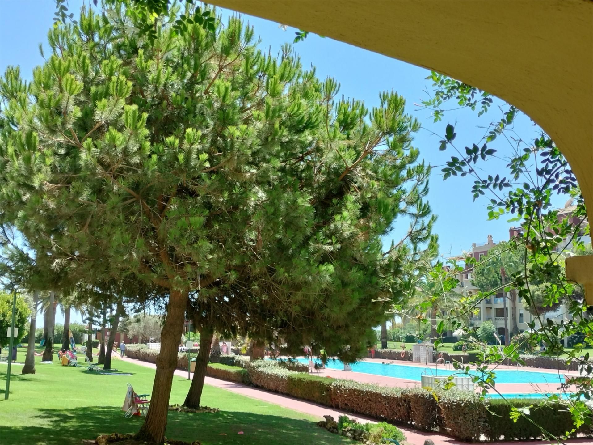 Swimming pool of Planta baja for sale in Ayamonte  with Private garden, Terrace and Storage room