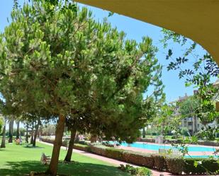 Swimming pool of Planta baja for sale in Ayamonte  with Terrace