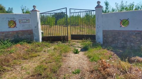 Terreno en venta en Calle Atalaya, 5, Torre de Don Miguel, Cáceres - imagen 3 Foto 3 de Terreno en venta en Calle Atalaya, 5, Torre de Don Miguel, Cáceres