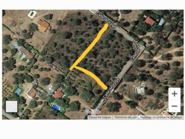 Finca rústica en Venta en Calle de Vega, 269 en Carretera de Sevilla - Los Montitos