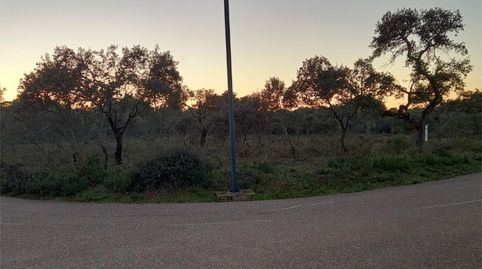 Foto 2 de Finca rústica en venta en Calle de Vega, 269, Carretera de Sevilla - Los Montitos, Badajoz Capital