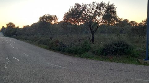 Foto 3 de Finca rústica en venta en Calle de Vega, 269, Carretera de Sevilla - Los Montitos, Badajoz Capital