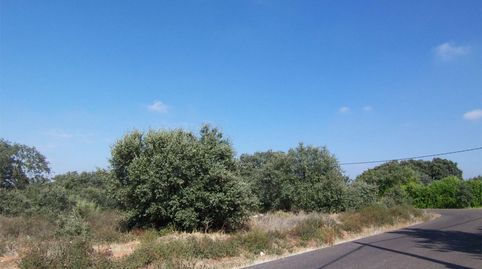 Foto 5 de Finca rústica en venta en Calle de Vega, 269, Carretera de Sevilla - Los Montitos, Badajoz Capital