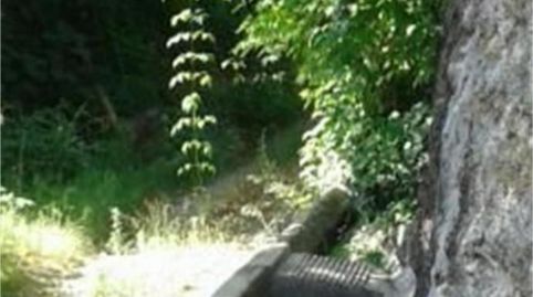 Foto 5 de Finca rústica en venta en Carretera Segura de la Sierra, 1, Segura de la Sierra, Jaén