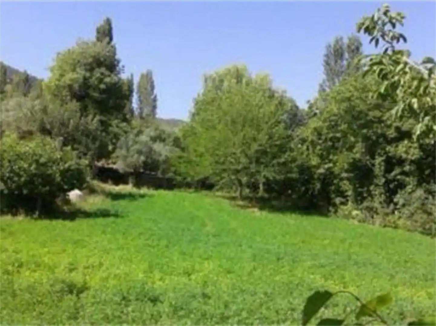 Finca rústica en venta en Carretera Segura de la Sierra, 1, Segura de la Sierra Finca rústica en venta en Segura de la Sierra con Jardín privado, Terraza y Trastero