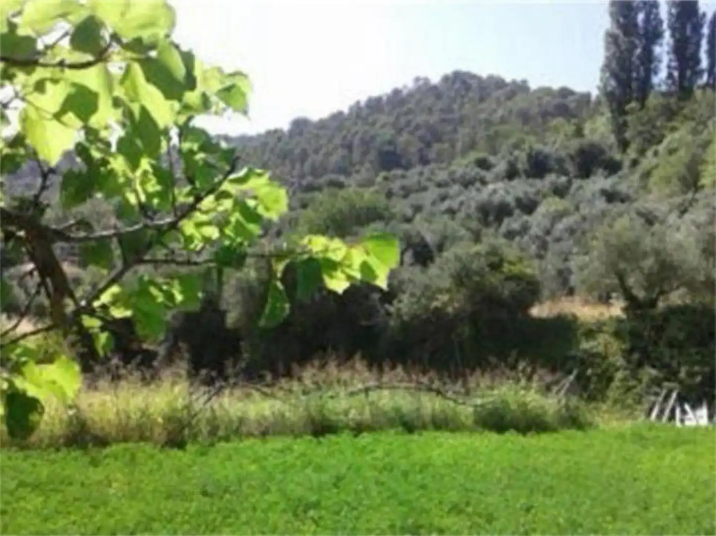Finca rústica en venta en Carretera Segura de la Sierra, 1, Segura de la Sierra Finca rústica en venta en Segura de la Sierra con Jardín privado, Terraza y Trastero
