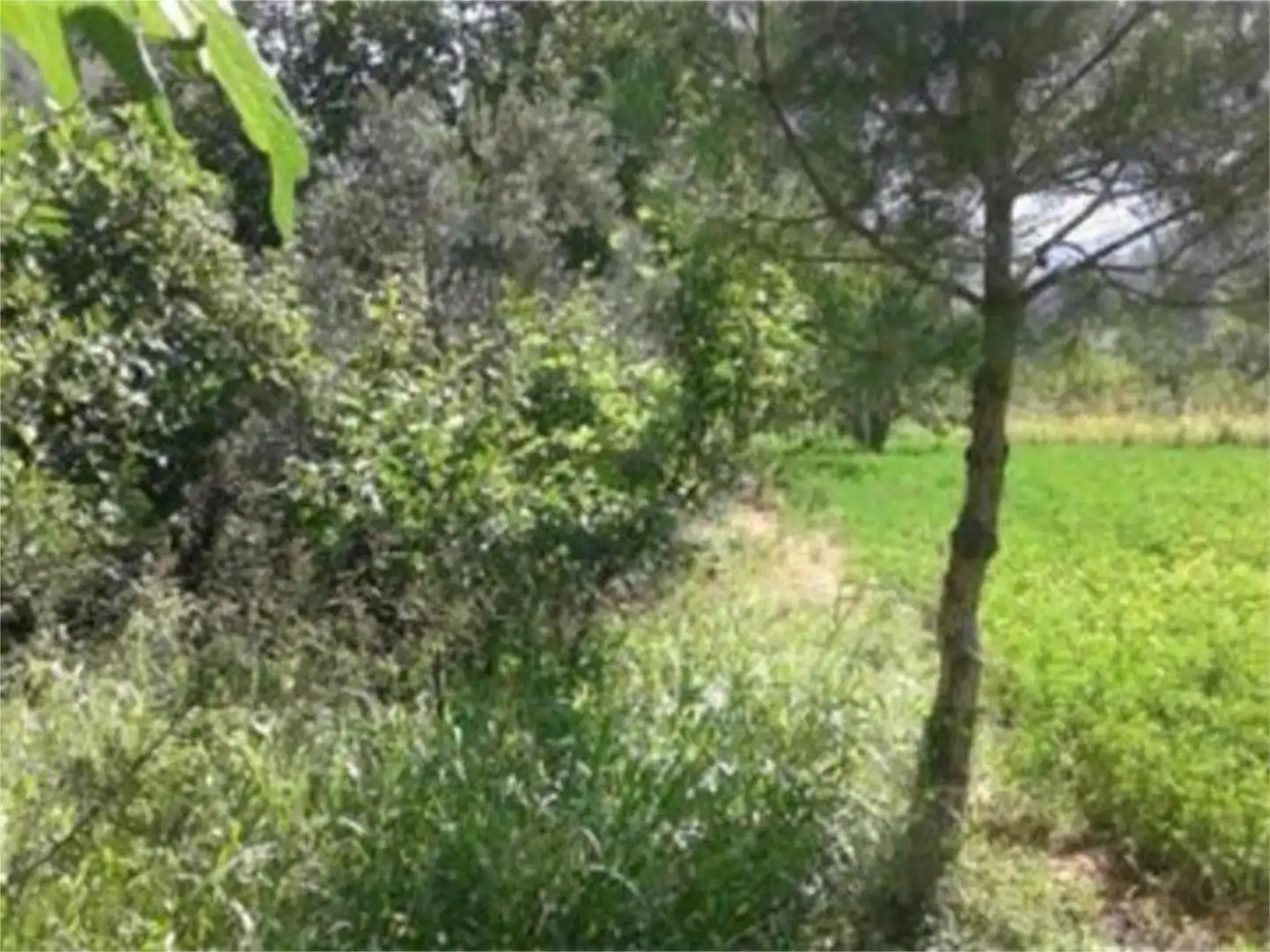 Finca rústica en venta en Carretera Segura de la Sierra, 1, Segura de la Sierra Finca rústica en venta en Segura de la Sierra con Jardín privado, Terraza y Trastero