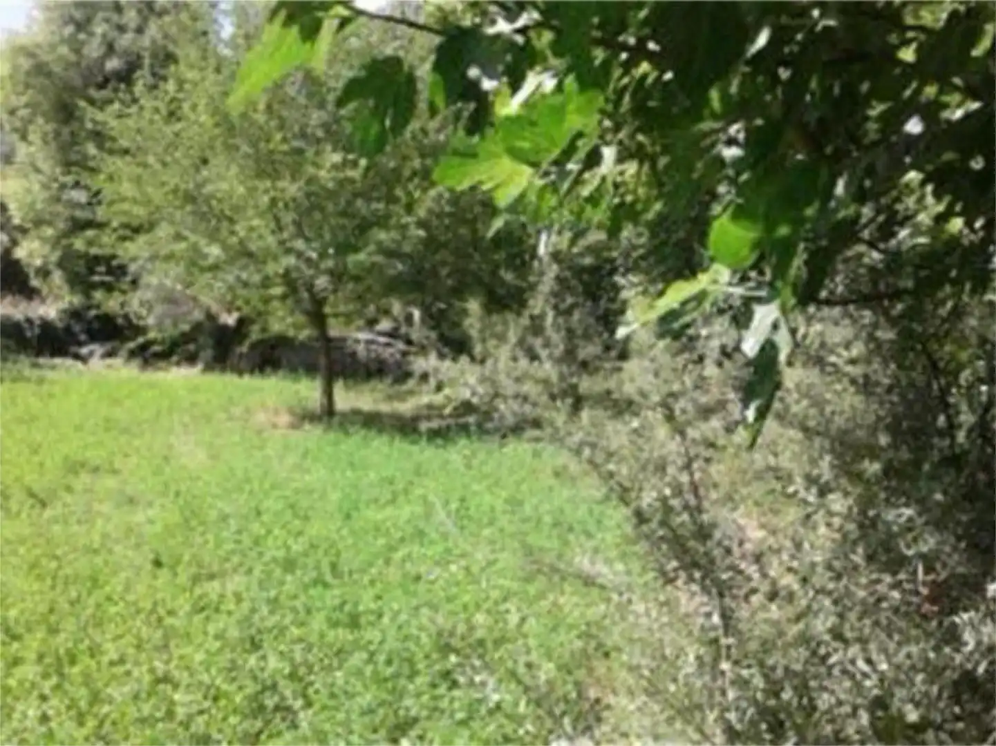 Finca rústica en venta en Carretera Segura de la Sierra, 1, Segura de la Sierra Finca rústica en venta en Segura de la Sierra con Jardín privado, Terraza y Trastero