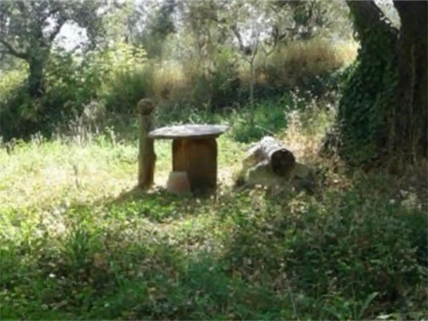 Finca rústica en venta en Carretera Segura de la Sierra, 1, Segura de la Sierra Jardín de Finca rústica en venta en Segura de la Sierra con Jardín privado, Terraza y Trastero