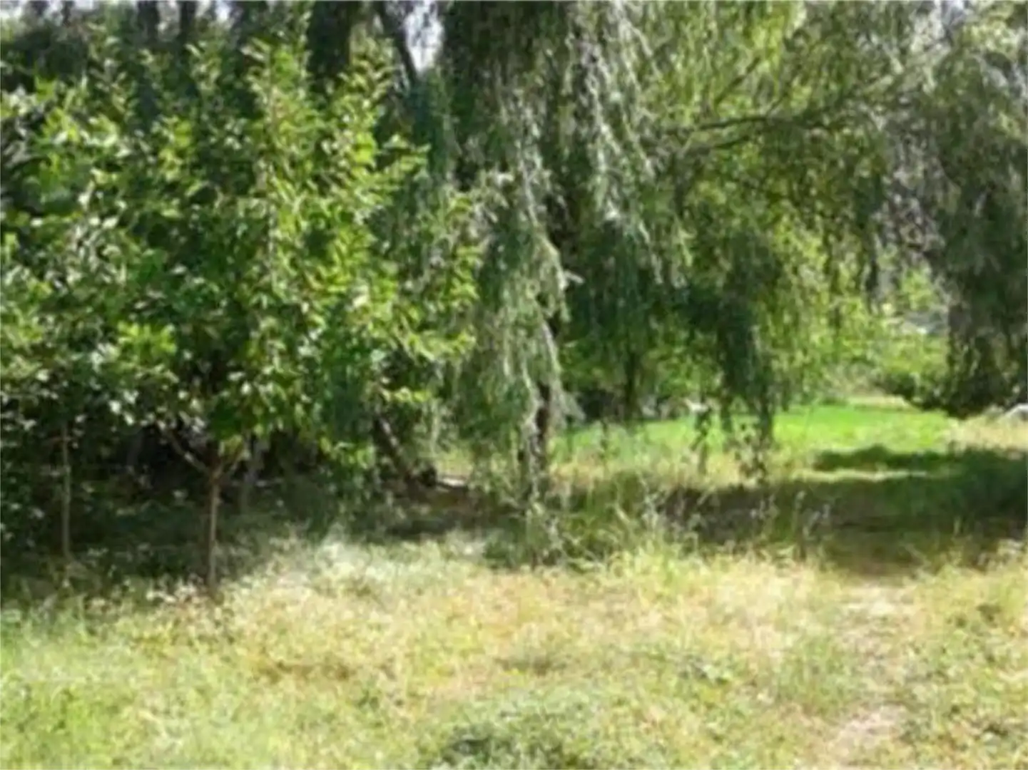 Finca rústica en venta en Carretera Segura de la Sierra, 1, Segura de la Sierra Finca rústica en venta en Segura de la Sierra con Jardín privado, Terraza y Trastero