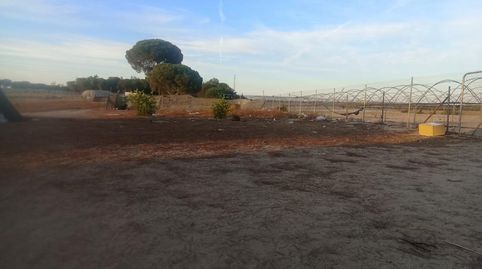 Foto 3 de Finca rústica en venta en Calle Nuestro Padre Jesús Nazareno, 18, Rociana del Condado, Huelva