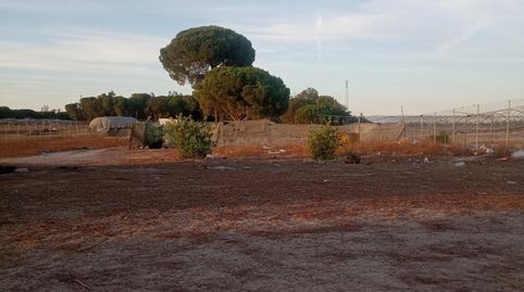 Foto 2 de Finca rústica en venta en Calle Nuestro Padre Jesús Nazareno, 18, Rociana del Condado, Huelva