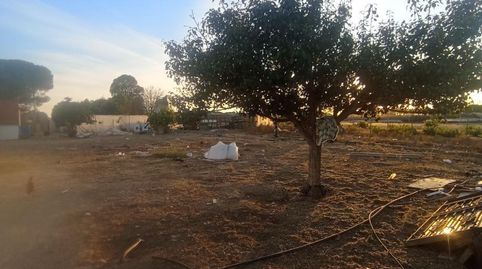 Foto 5 de Finca rústica en venta en Calle Nuestro Padre Jesús Nazareno, 18, Rociana del Condado, Huelva