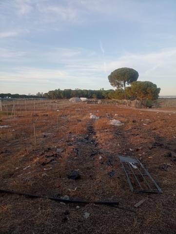 Finca rústica en Venta en Calle Nuestro Padre Jesús Nazareno, 18 en Rociana del Condado