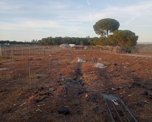 Finca rústica en venda en Rociana del Condado