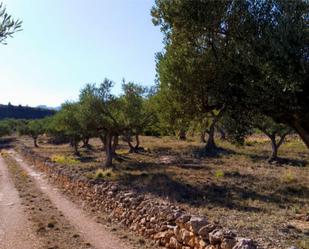 Finca rústica en venda en Xerta amb Terrassa