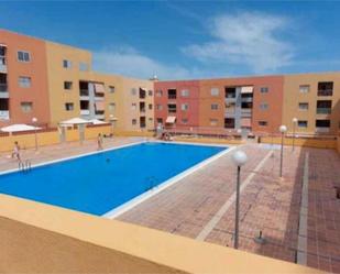 Swimming pool of Flat to rent in Candelaria  with Swimming Pool