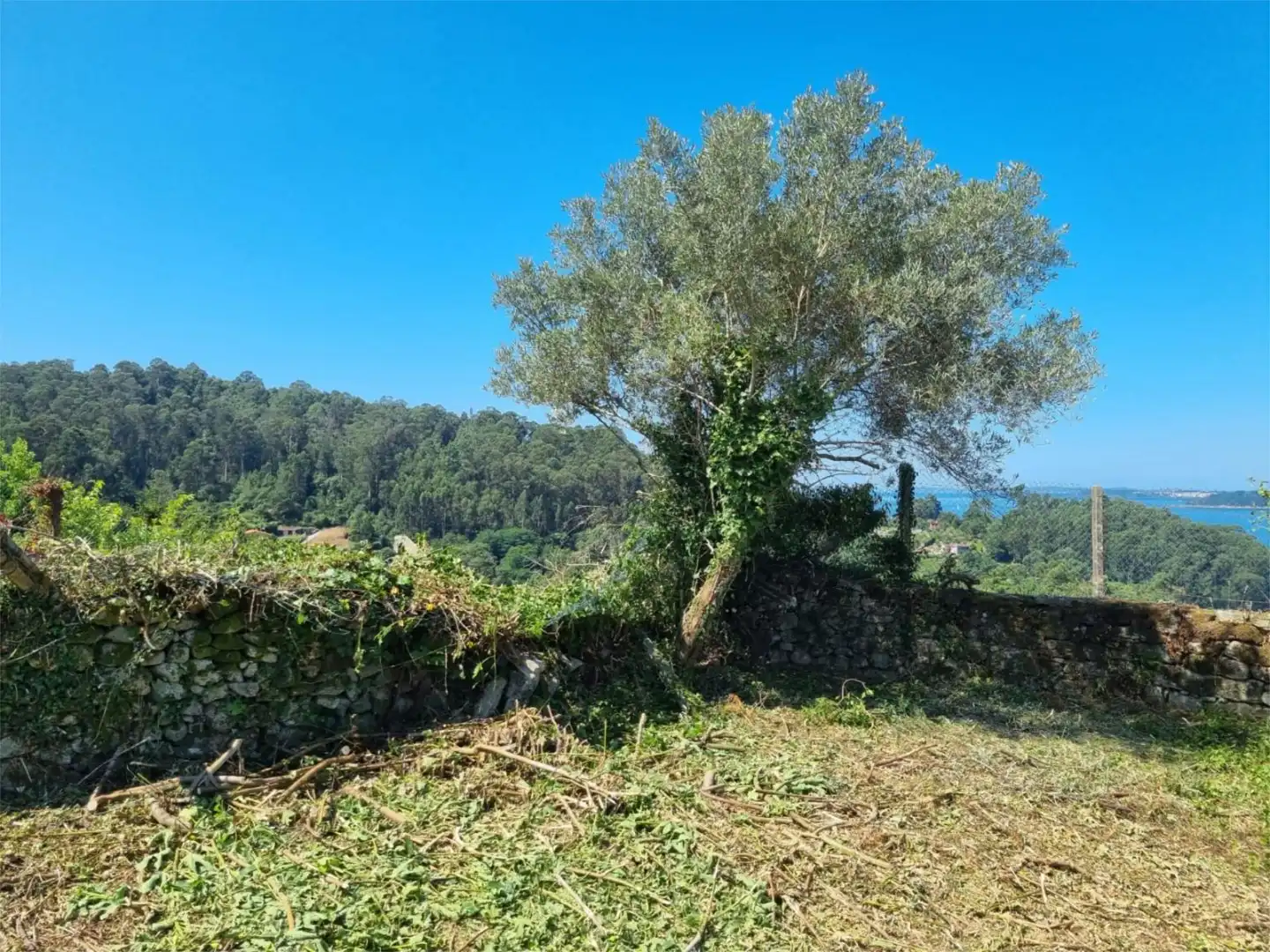 Urbanitzable en venda en Marín